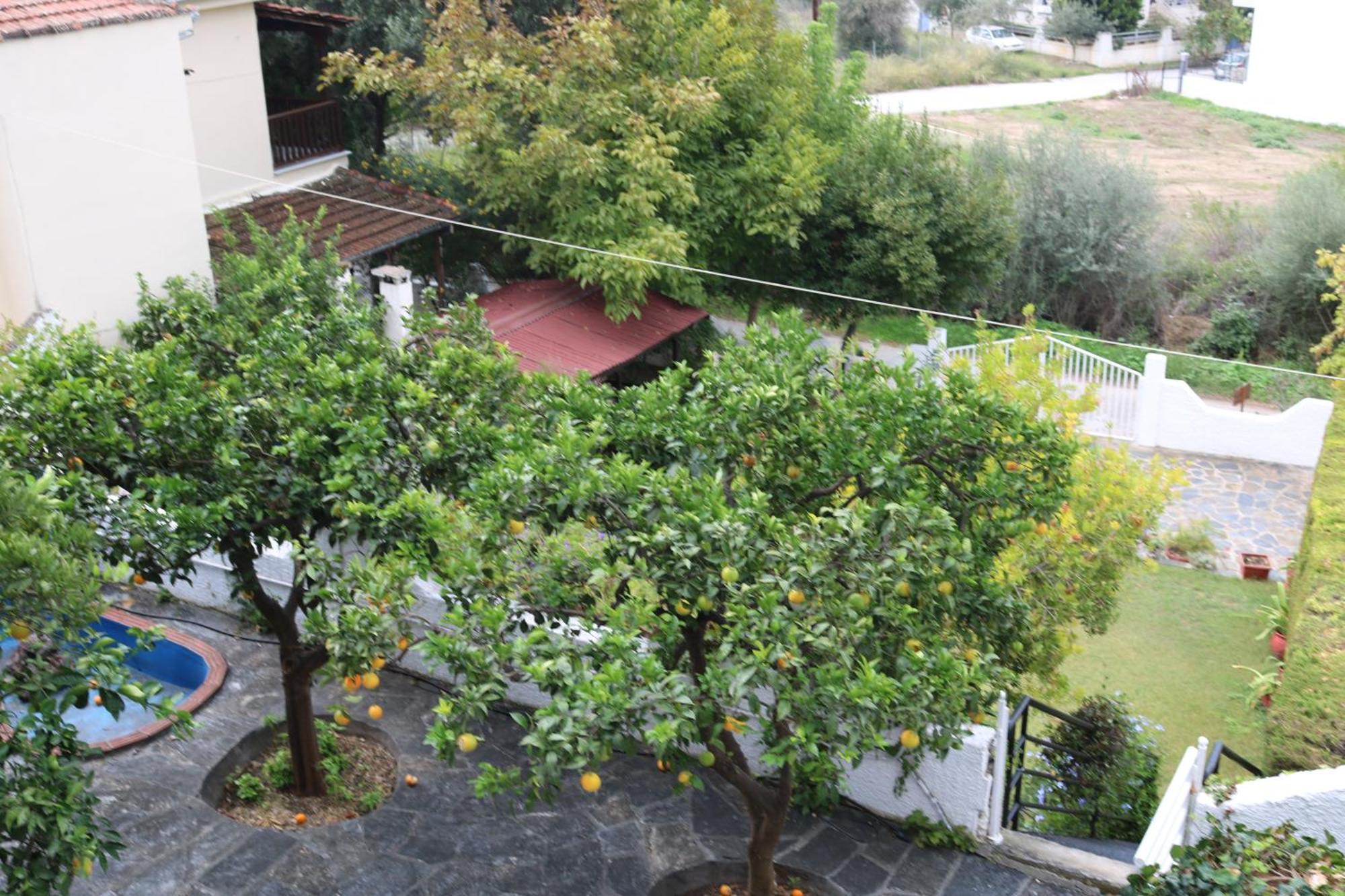 Villa Sofia Marathos  外观 照片