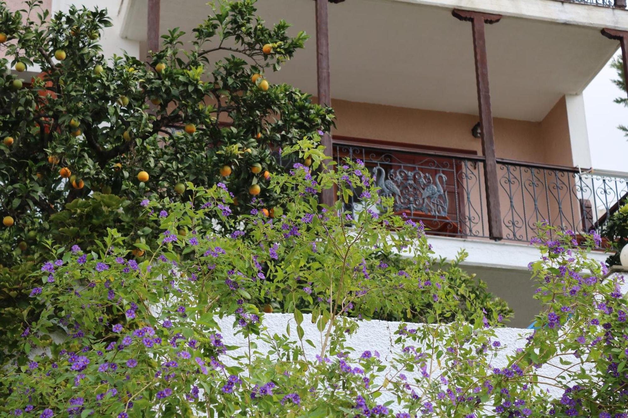 Villa Sofia Marathos  外观 照片