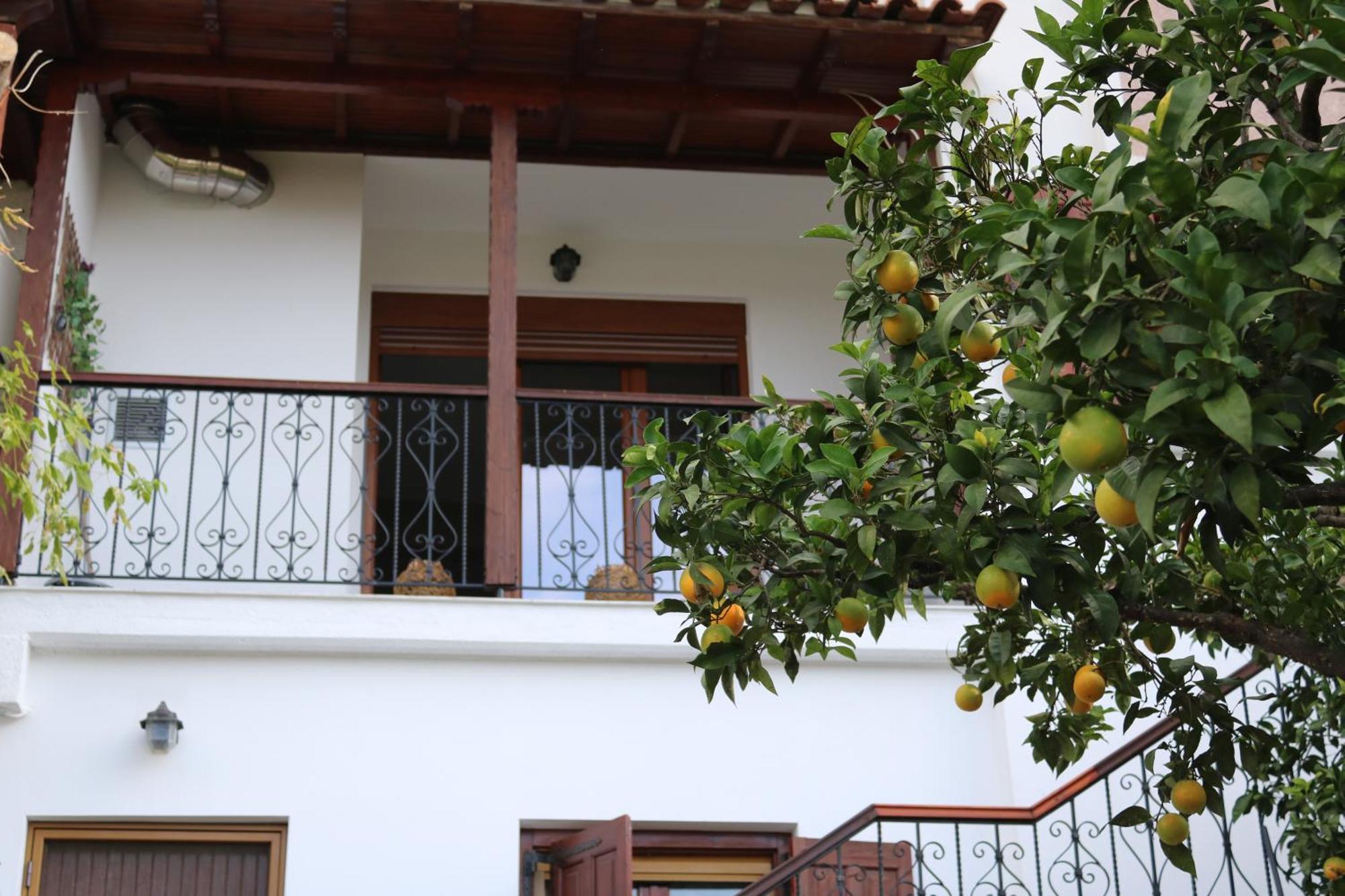 Villa Sofia Marathos  客房 照片