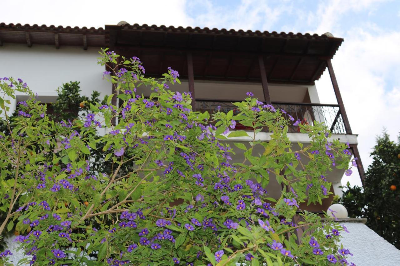 Villa Sofia Marathos  外观 照片